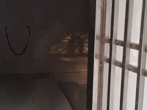 Chandigarh Temple Golak Theft | Rs 10k Stolen; CCTV Footage Being Scanned