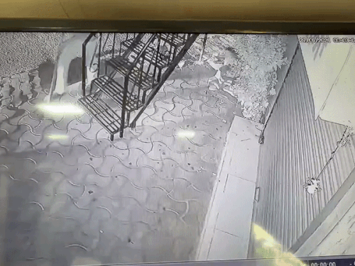 चंडीगढ़ में प्रॉपर्टी डीलर के घर पर देर रात हमला:हाथों में तलवार लेकर पहुंचे बदमाश, बोले- 'गोली मार दो', पुलिस पहुंचने से पहले फरार