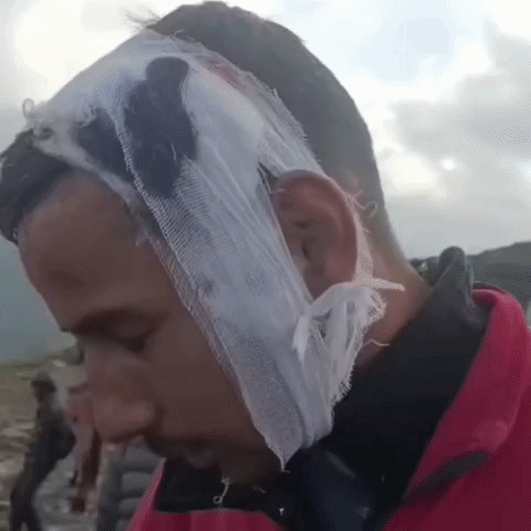 Yamunanagar Youth Beats Horse Cart Driver in Uttarakhand | Viral Video