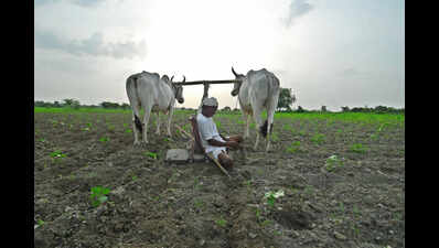 Mysuru district records 78 farmer suicides in one year | Mysuru News