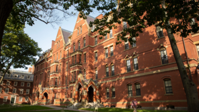 ‘I worry about my future’: Harvard student says Ivy League degree wasn’t enough to secure an internship