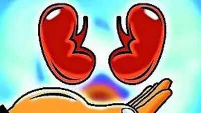 Hospitals told to make public their kidney transplant success rate | India News