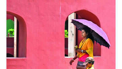 Heat index rises, humidity sustains | Delhi News