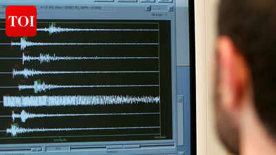 Magnitude 4.6 earthquake hits Bay of Bengal | Delhi News