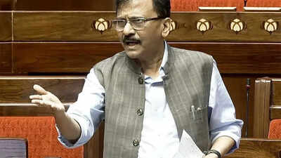 Sanjay Raut: Operation tiger not easy, Sanjay Raut takes presser with 3 Lok Sabha MPs in Delhi | India News