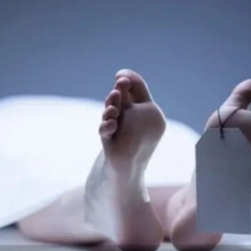 पत्नी के घर छोड़ने पर पति ने लगाई फांसी:पलवल में बच्चों को पिता के पास छोड़ा, किराए पर रहता था युवक