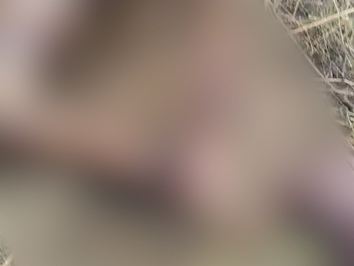 गुरुग्राम के मॉल के सामने महिला की सड़ी-गली लाश मिली:कपड़े गल चुके, बॉडी डिकंपोज हो रही; बदबू आने पर पता चला