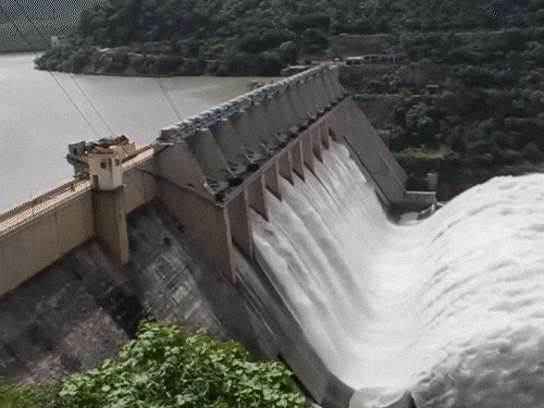 Haryana Demands 10,000 Cusecs Water From BBMB For Paddy Season