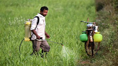 Fertilisers: ‘It takes time to restart plants’: Hormuz reopening may not ease fertiliser woes anytime soon, say industry executives