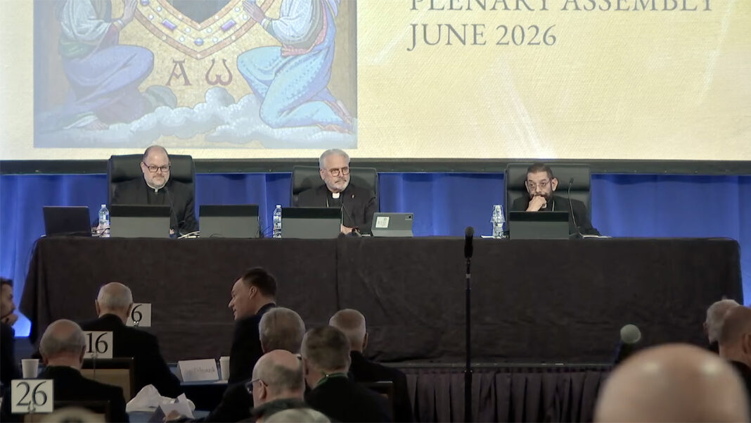 US bishops signal closer ties to Pope Leo — while nudging Trump on immigration
