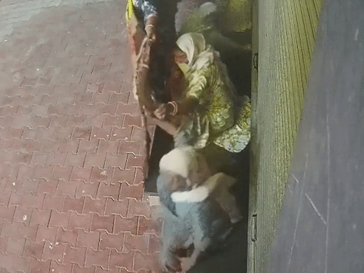 Pathankot Woman Gang Shoplifting | CCTV Footage Video