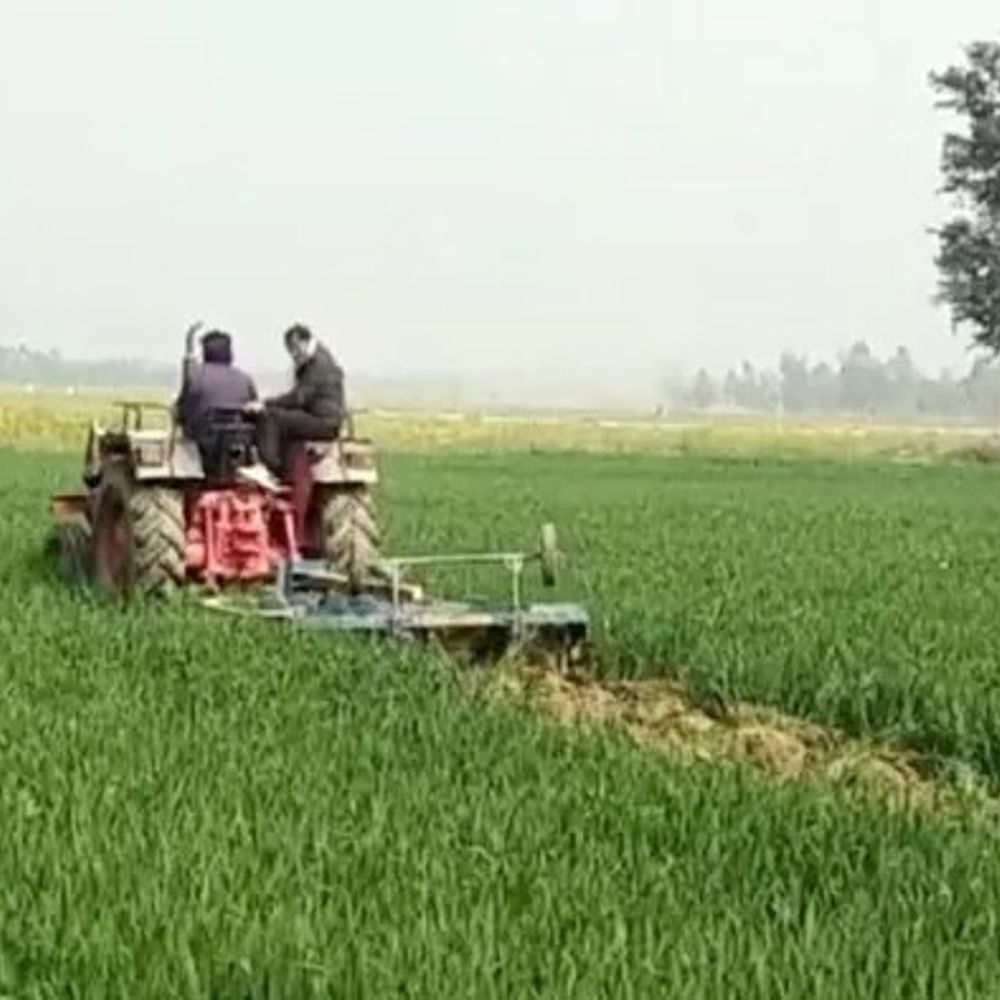 इसराना में किसान की जमीन पर अवैध कब्जा:आम का पेड़ काटा, चंडीगढ़-गुरुग्राम में रहता है, पारिवारिक सदस्यों और पड़ोसियों पर आरोप