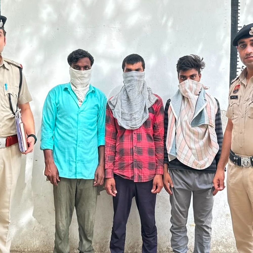 बहादुरगढ़ हत्या के मामले में तीन आरोपी गिरफ्तार:शव झाड़ियों में फेंककर सबूत मिटाने का किया था प्रयास, 72 घंटे के भीतर हत्या की गुत्थी सुलझाई