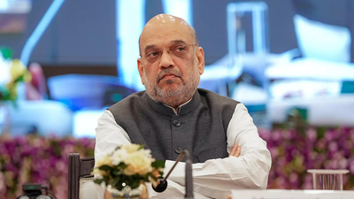 Questions set, demographic panel to seek info from states | India News
