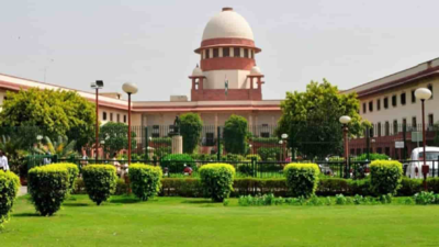 Using abusive language, swearing don’t count as obscenity under IPC: Supreme Court | India News