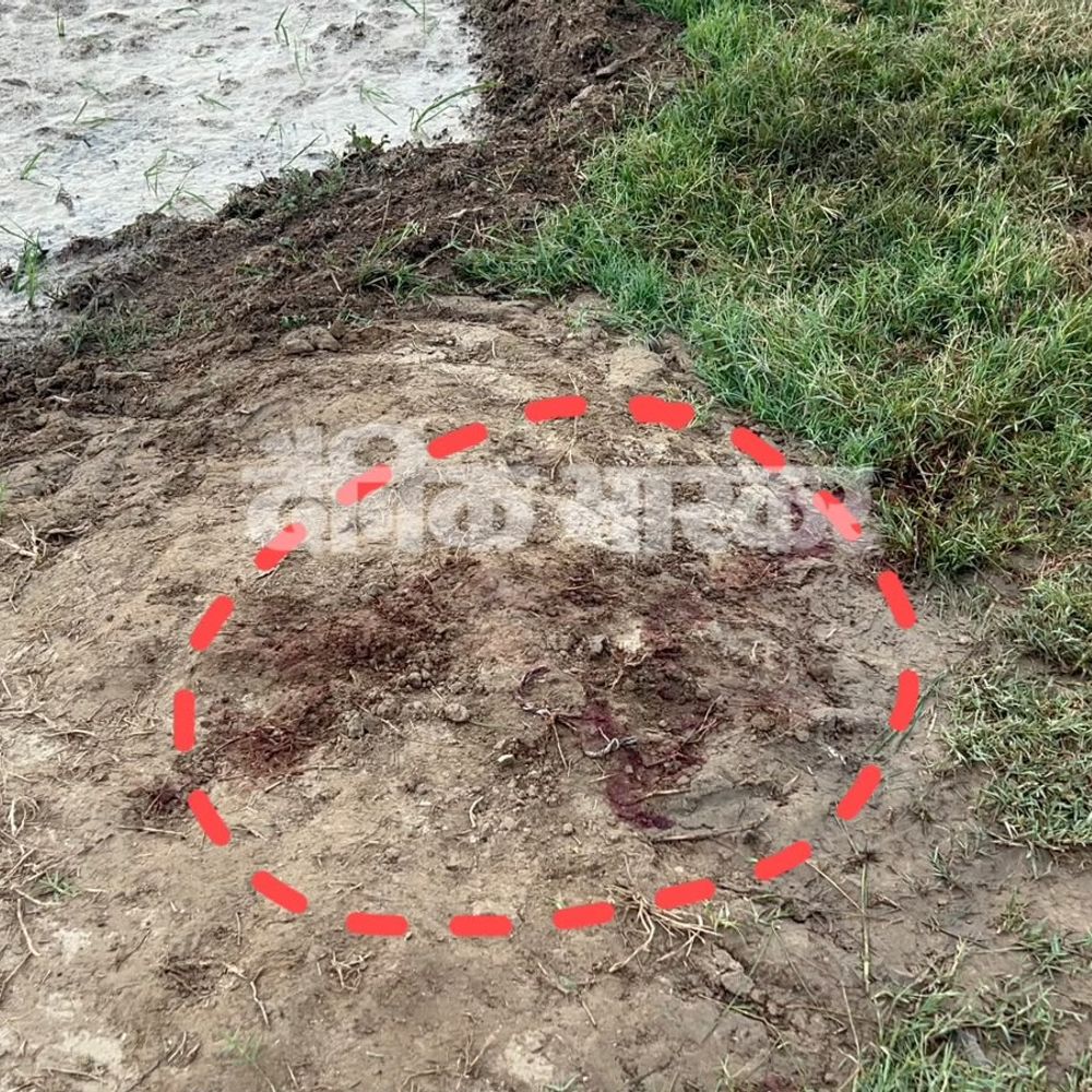 जिम ट्रेनर हत्याकांड के मुख्य आरोपी का एनकाउंटर:हांसी पुलिस से मुठभेड़, पैर में गोली लगने से घायल; पिस्तौल और कारतूस बरामद