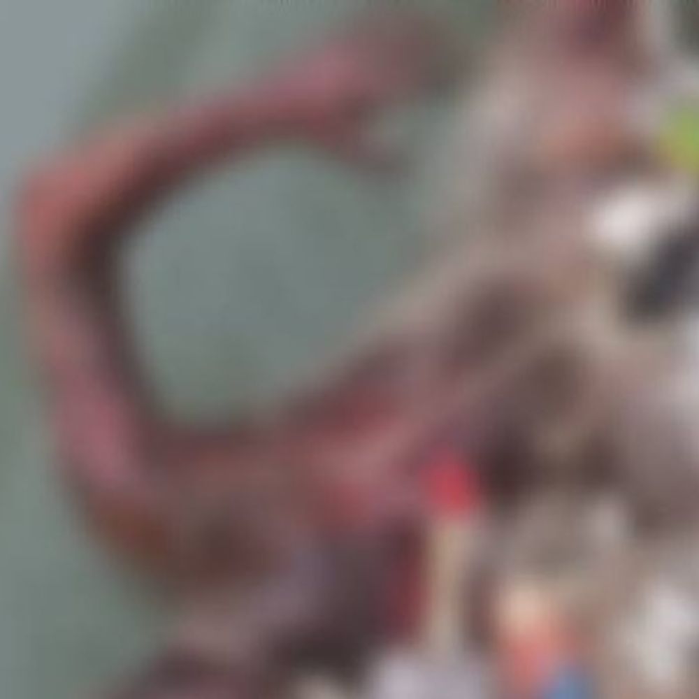 जाखल मंडी की नहर से मिला बच्चे का शव:काफी हद तक गल चुकी डेडबॉडी; लोगों की मदद से निकाली बाहर