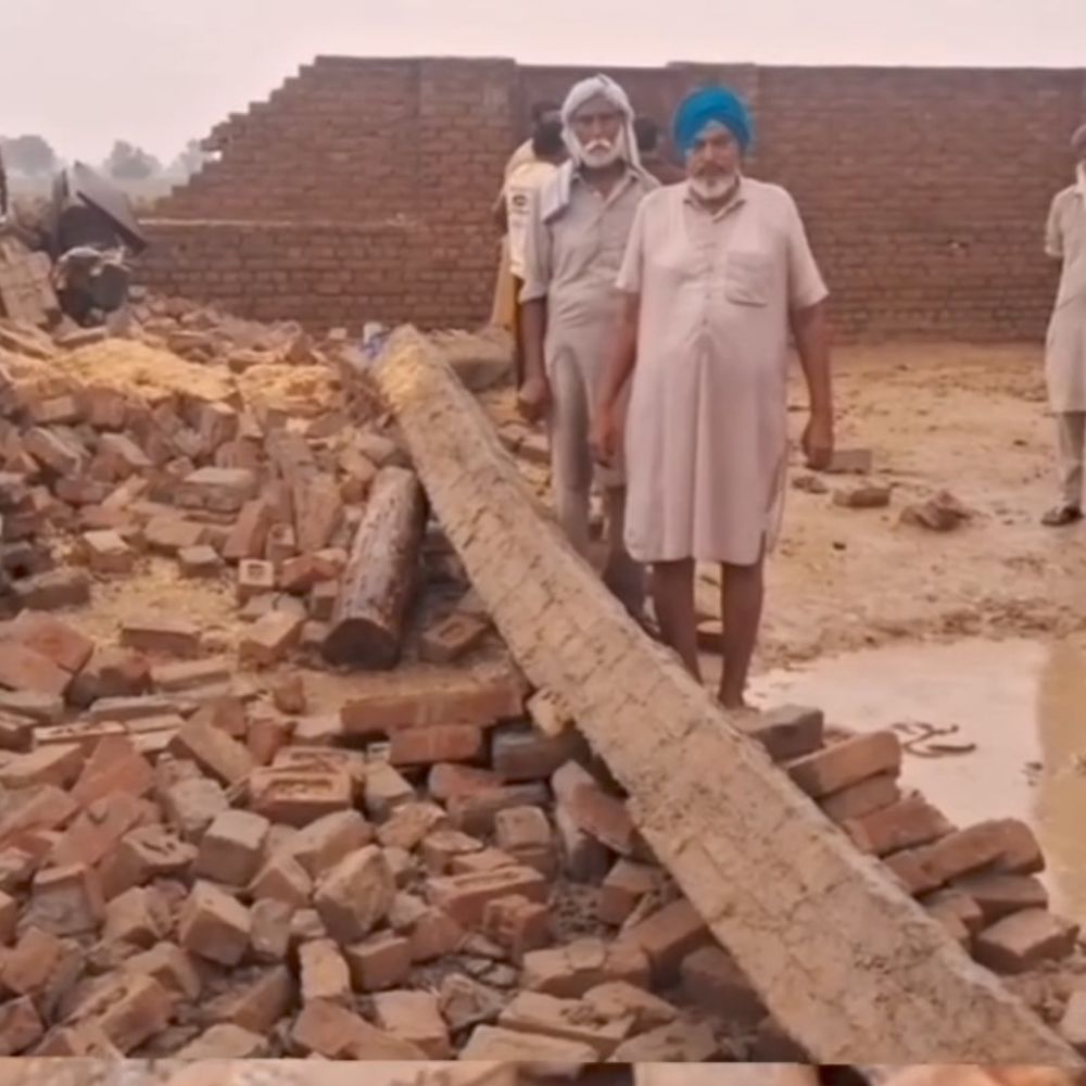 डबवाली में आसमानी बिजली गिरी, पशुबाडे़ की छत ढही:मलबे में दबकर कई पशु घायल, ग्रामीण बोले- पीड़ित किसान को मुआवजा दे प्रशासन