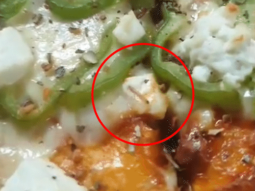 लुधियाना के नामी कैफे के पिज्जा में जिंदा कीड़ा, VIDEO:युवक बोला-मैनेजर ने गलती छिपाने को बदलने का ऑफर दिया; सेहत विभाग को किचन में गंदगी मिली
