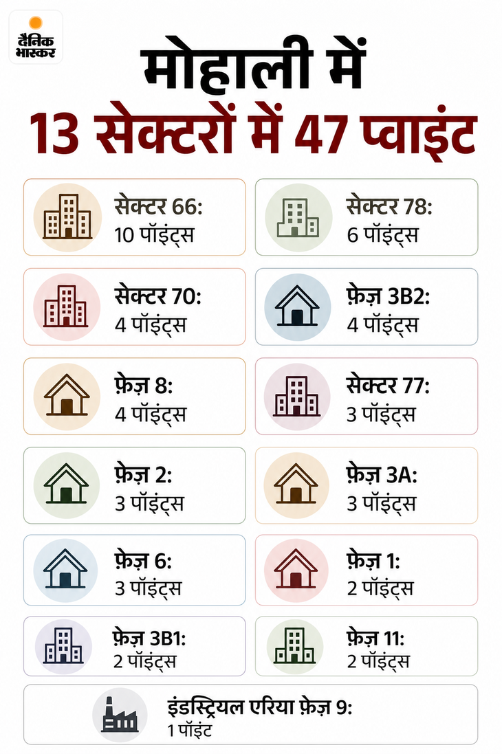Mohali Dog Feeding Points List