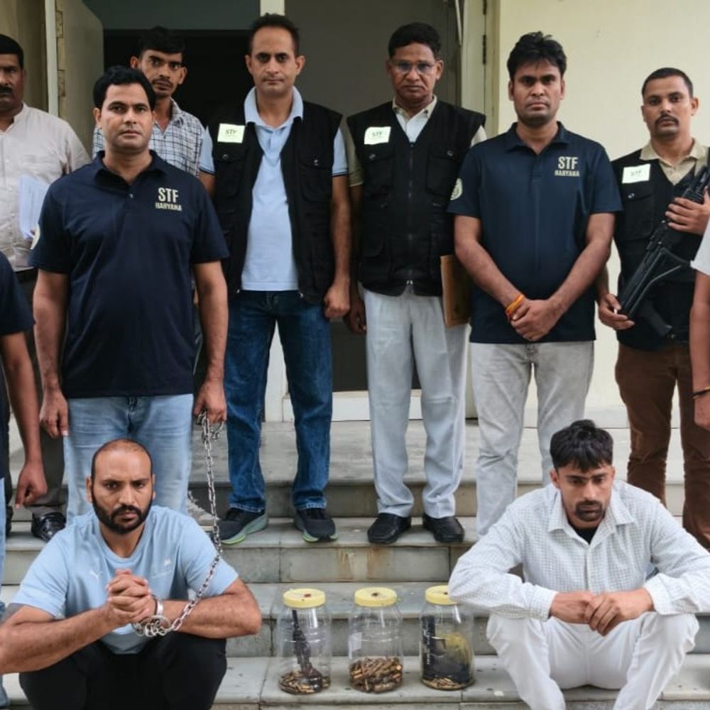 नीरज फरीदपुरिया गैंग का 50 हजार इनामी सदस्य काबू:पलवल में 2 पिस्टल और 130 कारतूस बरामद; 16 केस पहले से दर्ज