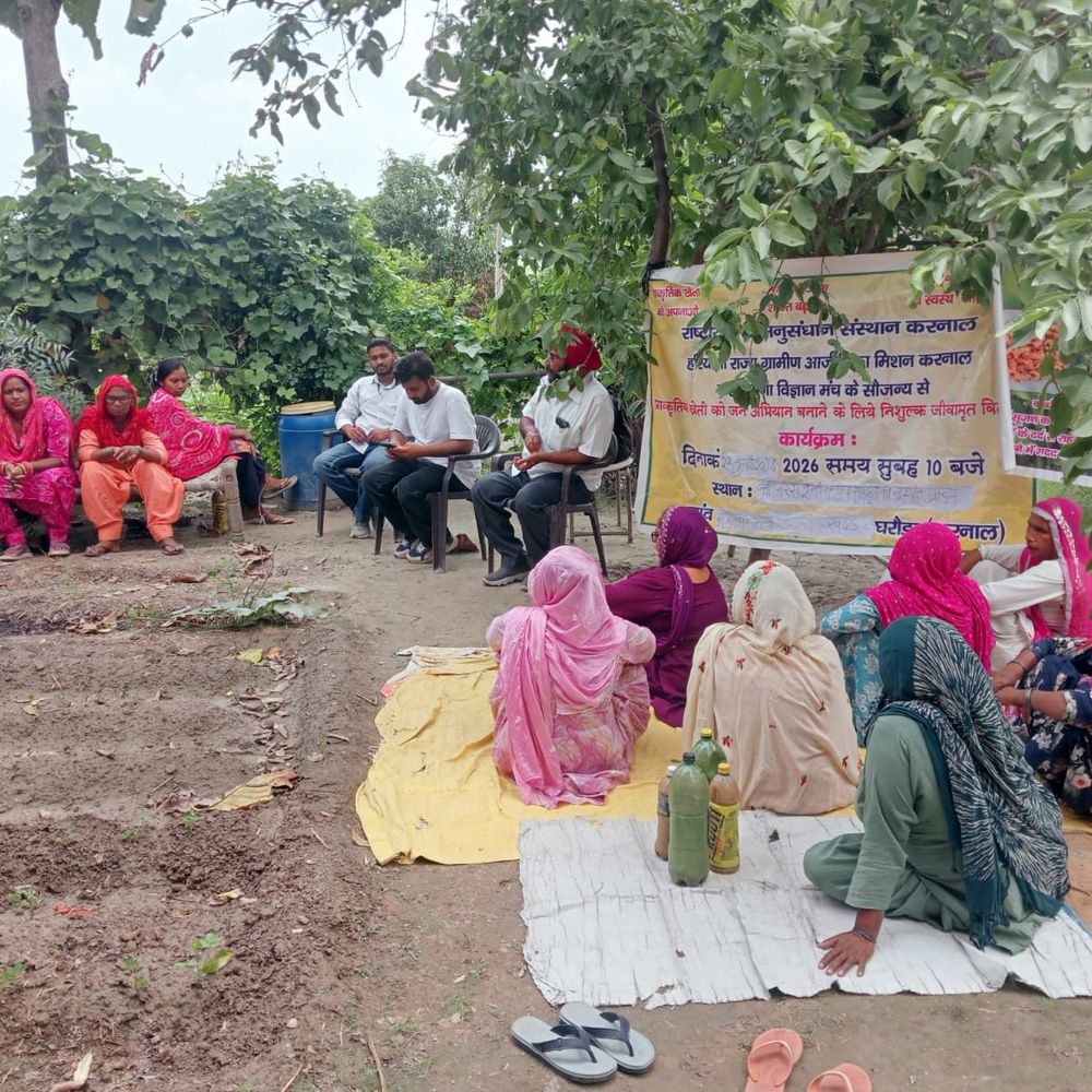 करनाल में न्यूट्रिटिव किचन गार्डनिंग मॉडल बना आकर्षण:300 गज में तैयार किया, प्राकृतिक खेती को बढ़ावा, 20 गांवों में 31 किचन गार्डन स्थापित