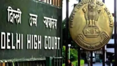 Can’t say those sleeping on pavement negligent, says Delhi high court | Delhi News