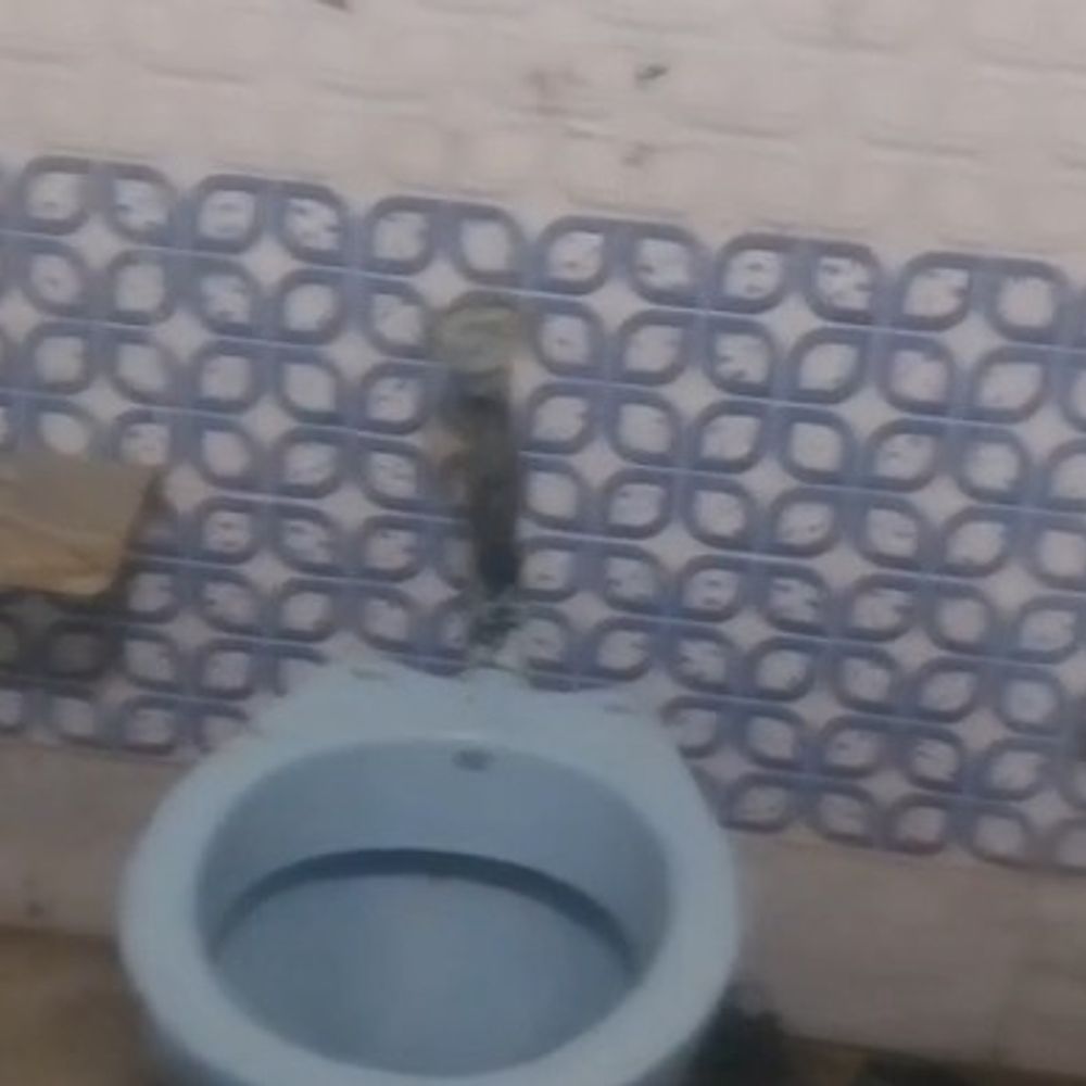 पठानकोट में पूर्व पार्षद के घर चोरों का धावा:कई मकानों से नकदी-सामान पर किया हाथ साफ; आधी रात को हुई वारदात
