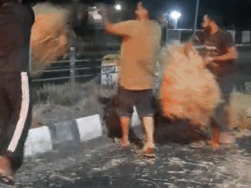 सिरसा में हाईवे पर बिखरी पराली से टला हादसा:आधे घंटे बाद सेवादारों ने हटाई; ट्रैक्टर-ट्रॉली से गिरने की आशंका