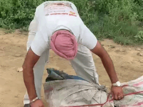 कुरुक्षेत्र की नहर में मिला बुजुर्ग का अर्धनग्न शव:बायां हाथ कलाई से कटा, दूसरे पर बुरी नजर वाले-ओम का टैटू गुदा