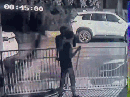 पंचकूला में रिटायर्ड बैंक अधिकारी के घर चोरी, VIDEO:तीन नकाबपोश रॉड से जाली तोड़कर घुसे, कैश-जेवर ले गए, आवाज हुई तो भागे