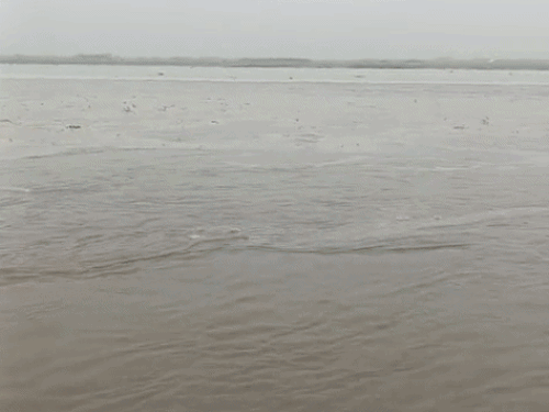 पहाड़ों पर बारिश से हरियाणा में आफत:यमुना- मारकंडा नदी उफान पर, खेतों में घुसा पानी; आज 2 जिलों में बारिश का अलर्ट