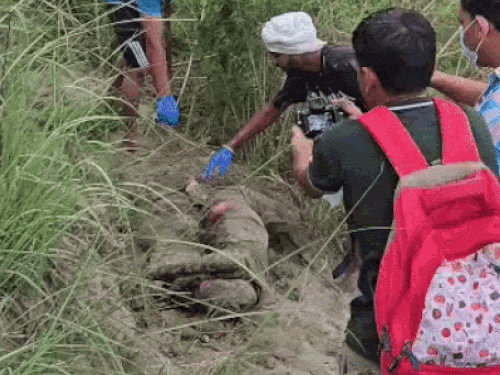 खेतों में गहरे गड्ढे में दबाई किशोरी की डेडबॉडी:सोनीपत में कुत्तों ने नोचकर बाहर निकाला, गर्दन-हाथ गायब; उम्र 15 साल, सूट-सलवार पहने हुए थी