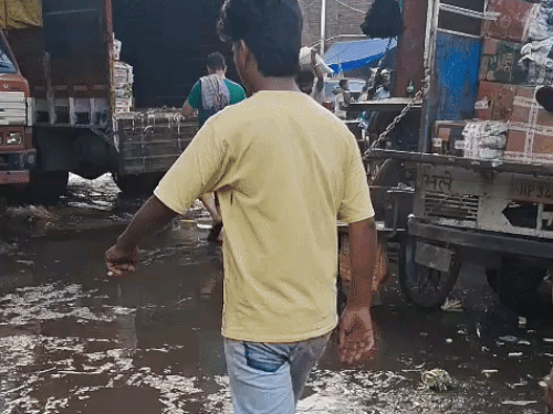 चंडीगढ़ की सबसे बड़ी सब्जी मंडी में गटर का पानी:सब्जियां-फल, बदबू और दलदल में खरीदारी; प्रशासक की चेतावनी दरकिनार