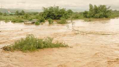 Heavy rain to lash multiple states this week as IMD flags flood threat and thunderstorms; what travellers need to know |