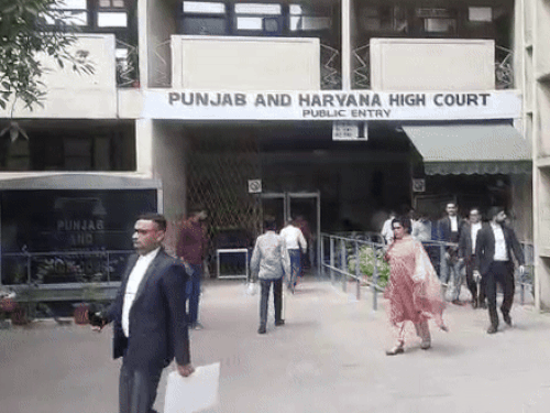 हाईकोर्ट ने महिला की 3 अर्जियां खारिज कीं:₹25 हजार का जुर्माना, अदालत- बेवजह याचिकाएं दाखिल कर न्यायिक प्रक्रिया में डाल रही बाधा