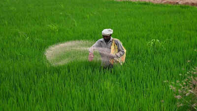 India’s fertiliser game plan: Over 32 lakh tonnes imported in Q1; strengthened supply chain through overseas deals