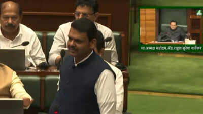 Fadnavis ups attack on ‘Missing Link’ critics, dubs them ‘bhatka gardabh’, ‘suparibaaz’; taunts Raj Thackeray | India News