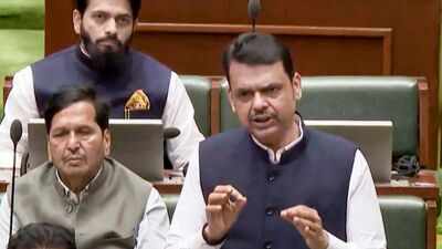 Maharashtra UCC: CM Fadnavis forms 7-member panel; draft law likely in winter session | India News