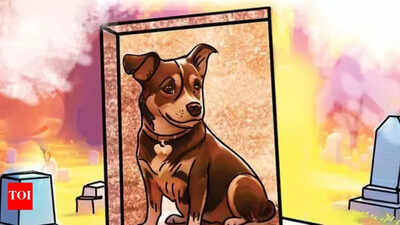 No place to grieve: India’s pet crematorium crisis, city by city | Delhi News