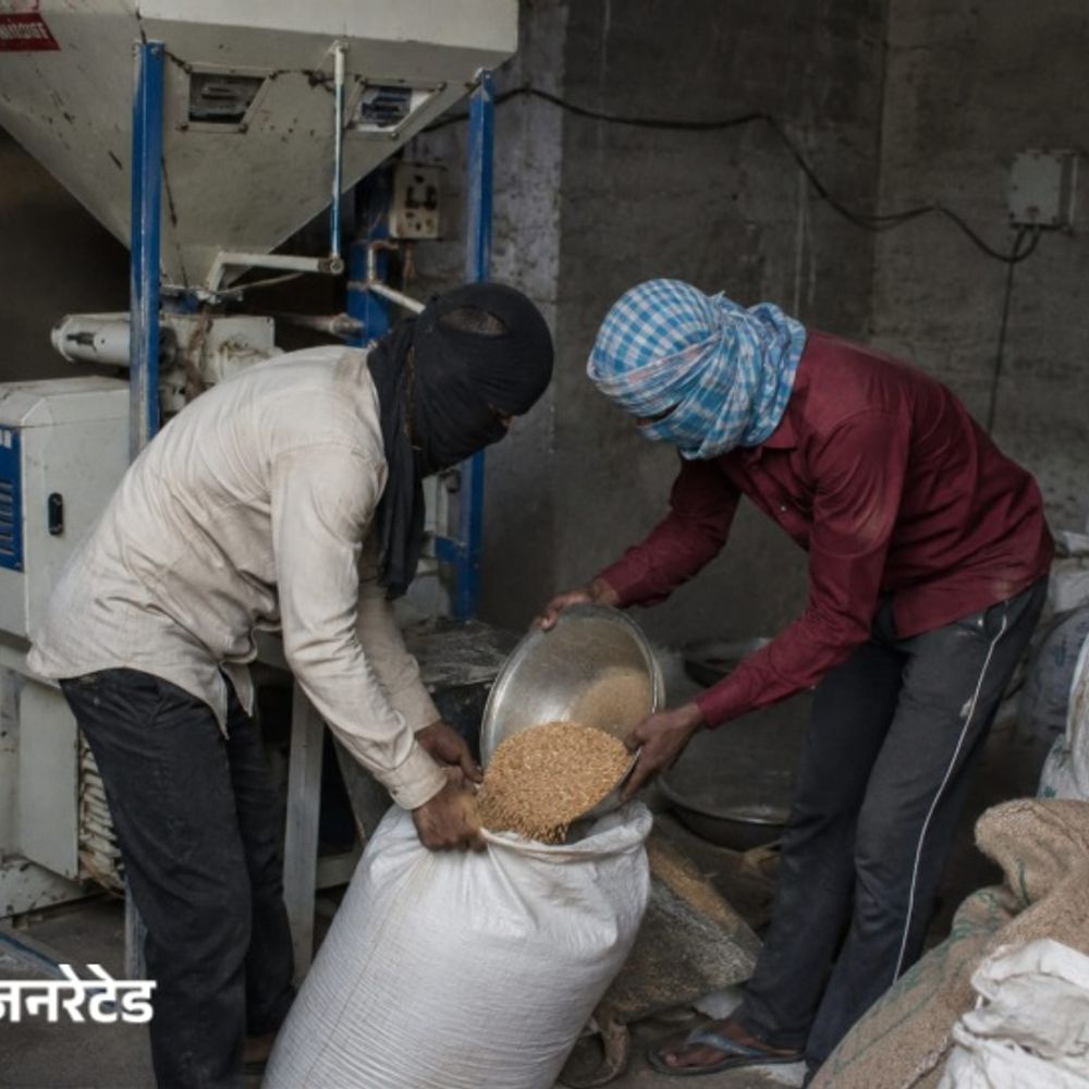 डबवाली में आटा चक्की से 4 क्विंटल गेहूं चोरी:दुकान बंद कर घर गया था मालिक, 2 नामजद युवकों पर मामला दर्ज