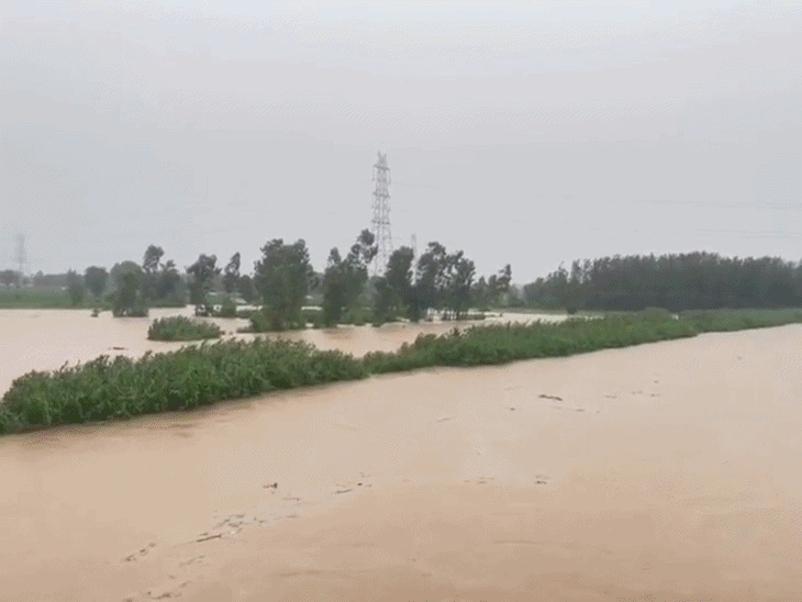 पठानकोट के जलालिया दरिया में उफान से सहमे लोग:जलस्तर बढ़ते ही प्रशासन ने बंद किया रास्ता, BSF चौकियों व दर्जनों गांवों का संपर्क प्रभावित