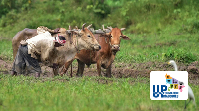 Small dairies, big impact: The story of Uttar Pradesh’s Mini Nandini scheme | Lucknow News