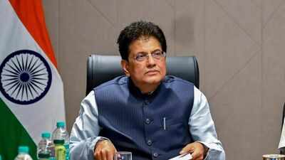 ‘Completely false and misleading’: Piyush Goyal rebuts report of India holding up US trade pact