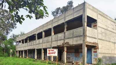 Long commute, empty classrooms: Delhi villagers oppose MCD school merger | Delhi News