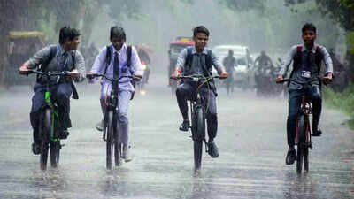 Odisha rains: Schools shut in four districts as IMD issues red alert