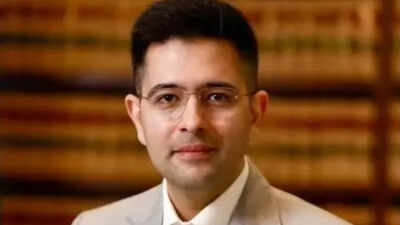 Delhi HC directs removal of defamatory social media content targeting Raghav Chadha | Delhi News
