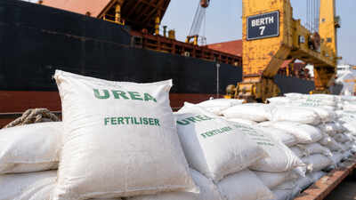Stuck at ports: Why several fertiliser vessels are stranded at Indian ports during peak kharif sowing season