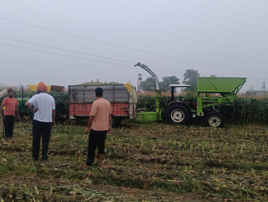 सिरसा में हाईटेंशन लाइन छूने से दो युवकों की मौत:मशीन से चारा बनाते समय लगा करंट, परिजनों का आरोप-बिजली निगम की लापरवाही