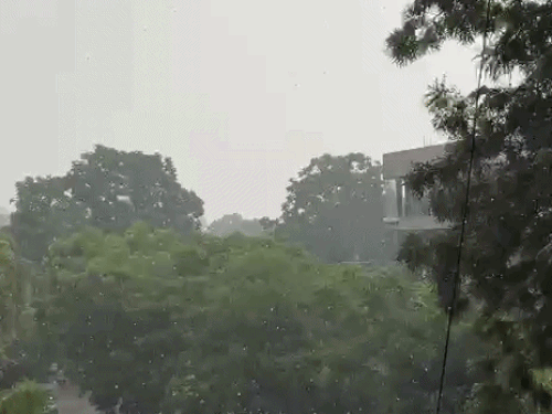 जालंधर में भीषण गर्मी से राहत:झमाझम बारिश से तापमान में गिरावट, तापमान गिरा लेकिन बिजली की मांग बरकरार